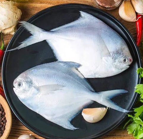 Fresh Fish – Per Kg